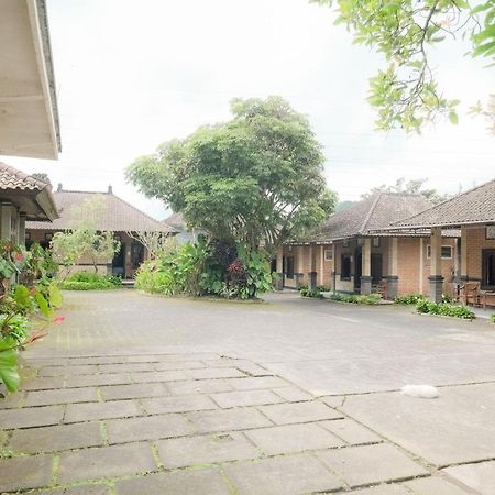 Pelangi Homestay Bedugul Redpartner מראה חיצוני תמונה